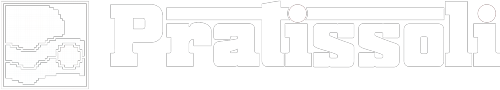 Logo-Pratissoli-branco